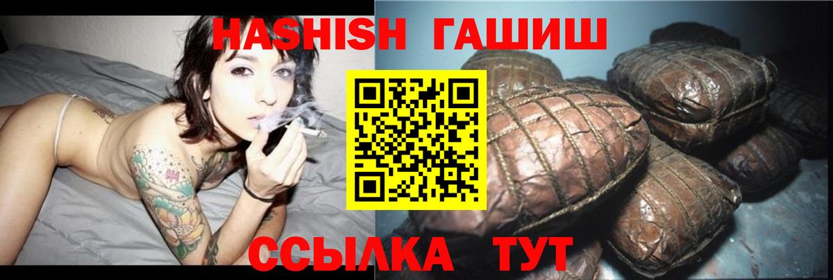 Заводоуковск  ГАШИШ  ГАШ гарик  Вход с VPN  ГАШ VHQ 