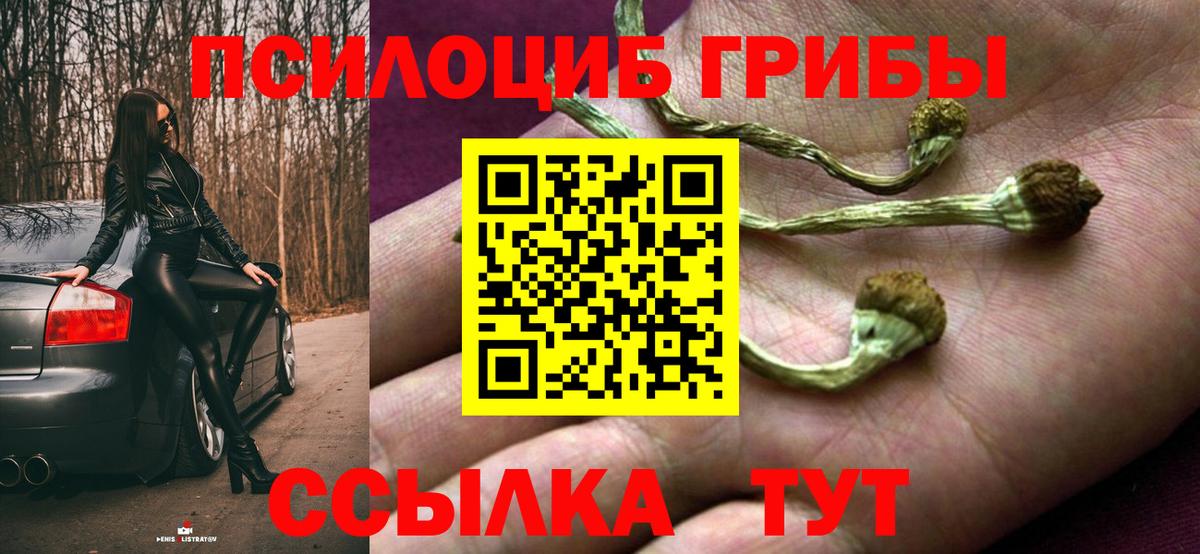 Галлюциногенные грибы мухоморы Заводоуковск